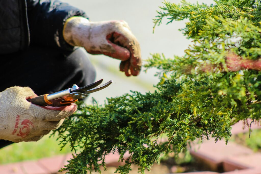Gardening