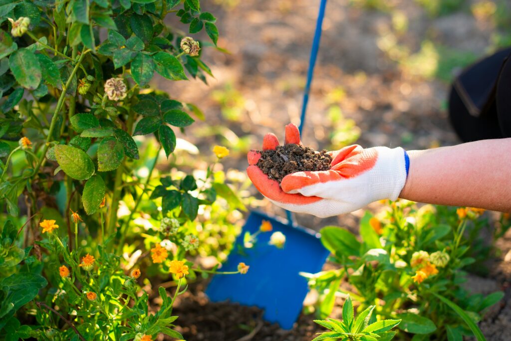 Gardening