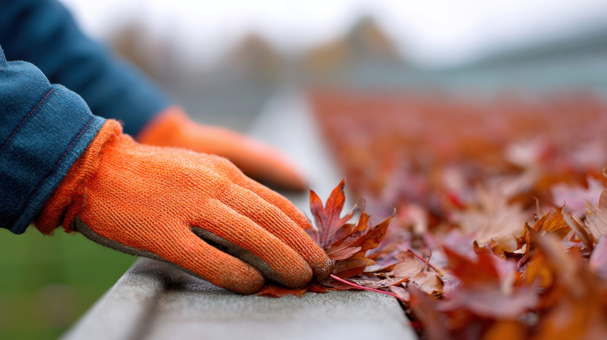 Gutter Cleaning